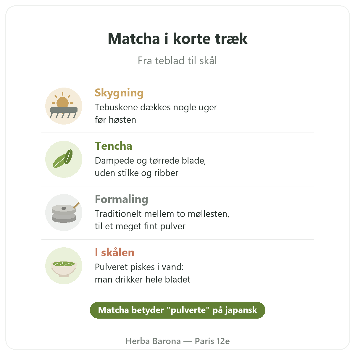 Matcha i Paris: fra blad til skål i korte træk, Herba Barona Paris 12e