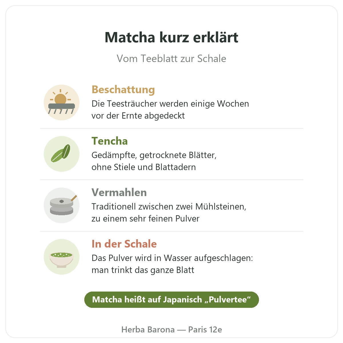 Matcha in Paris: vom Blatt zur Schale kurz erklärt, Herba Barona Paris 12e