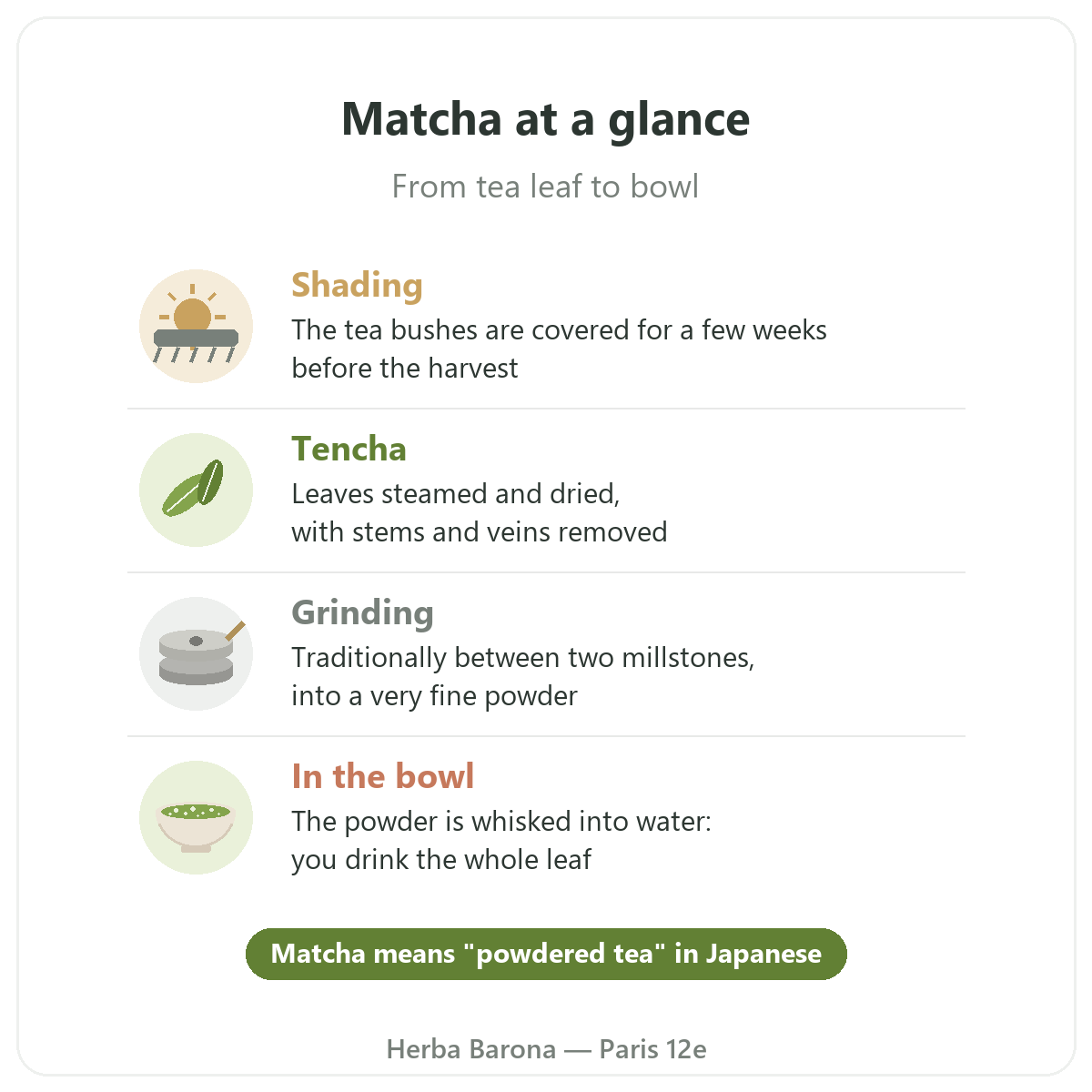 Matcha in Paris: from leaf to bowl at a glance, Herba Barona Paris 12e