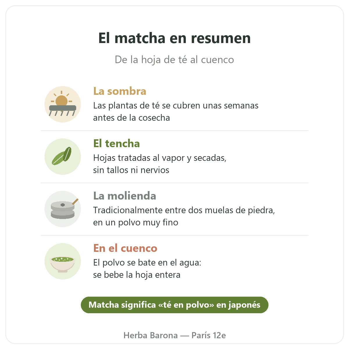 Matcha en París: de la hoja al cuenco en resumen, Herba Barona París 12e