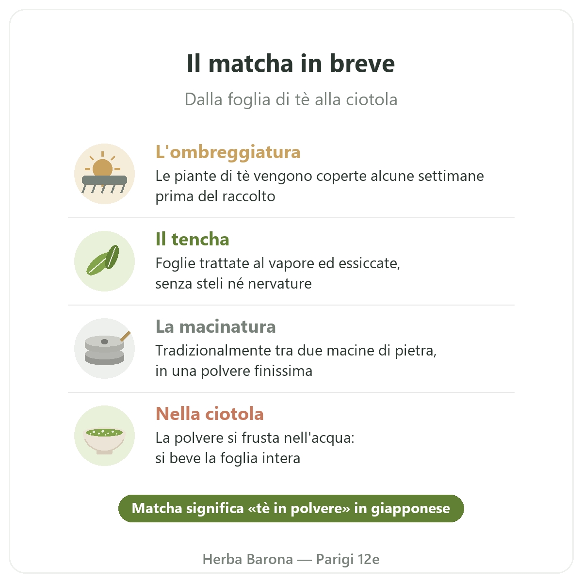 Matcha a Parigi: dalla foglia alla ciotola in breve, Herba Barona Parigi 12e