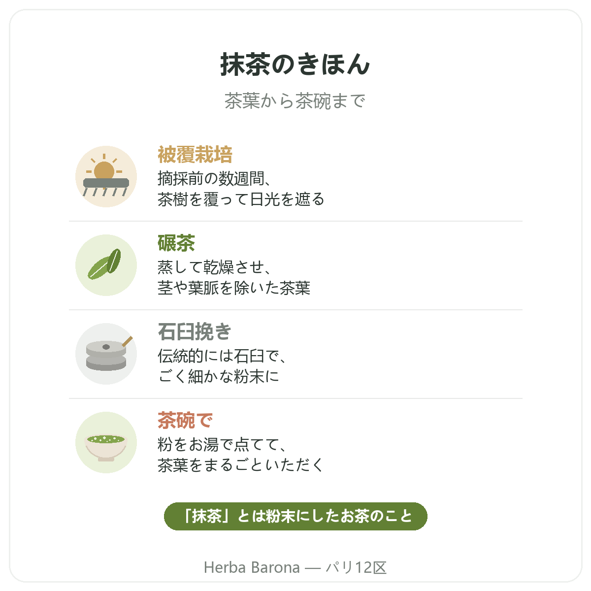 パリで抹茶:茶葉から茶碗まで、Herba Barona パリ12区