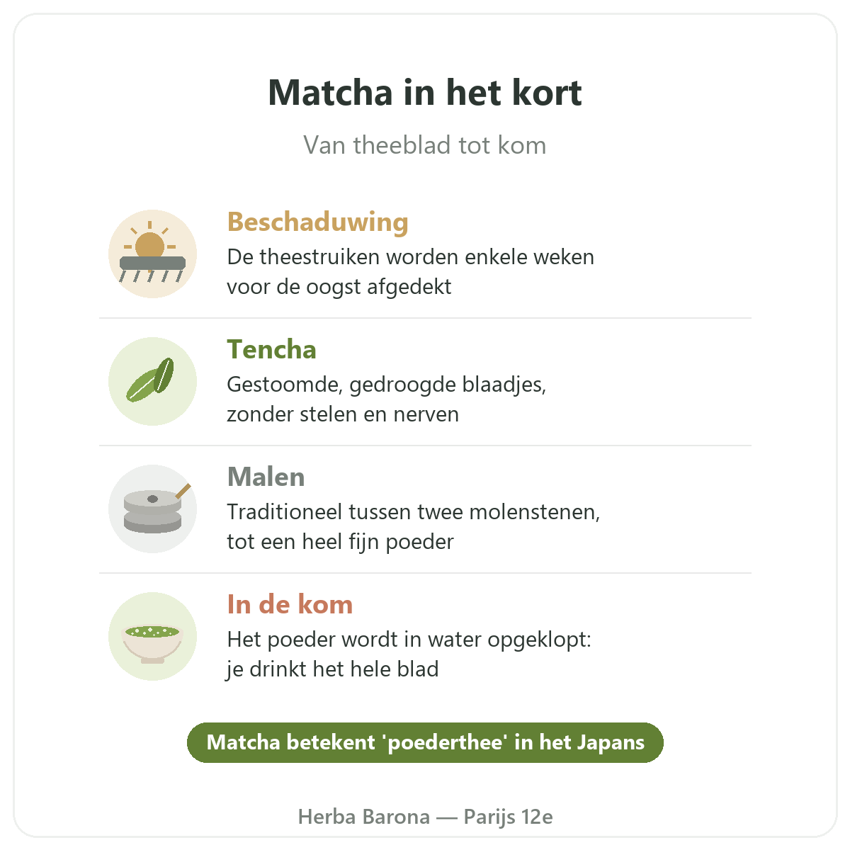 Matcha in Parijs: van blad tot kom in het kort, Herba Barona Parijs 12e