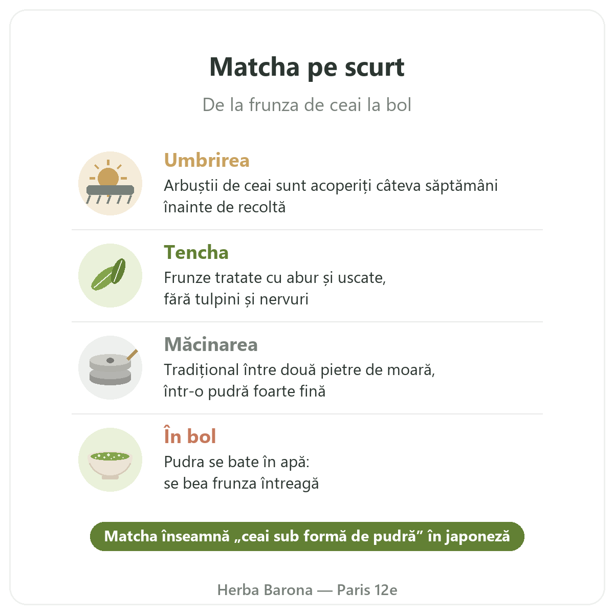 Matcha la Paris: de la frunză la bol pe scurt, Herba Barona Paris 12e
