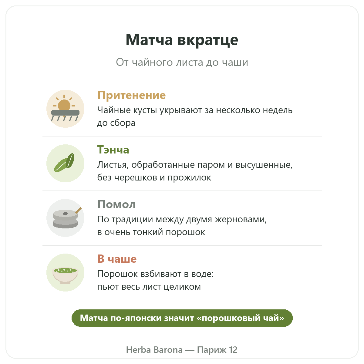 Матча в Париже: от листа до чаши вкратце, Herba Barona Париж 12e