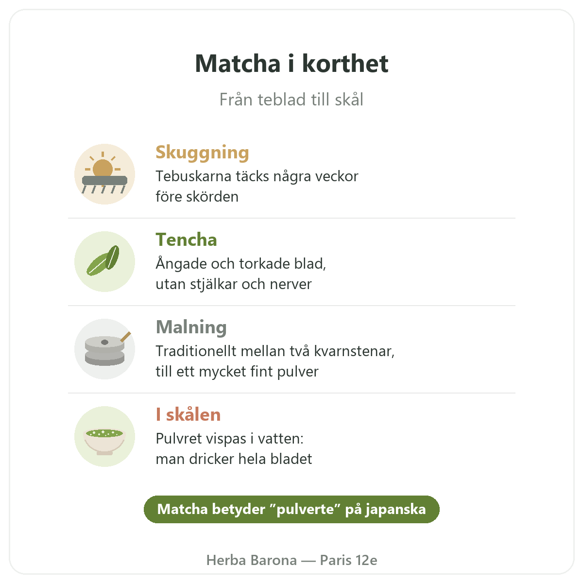 Matcha i Paris: från blad till skål i korthet, Herba Barona Paris 12e