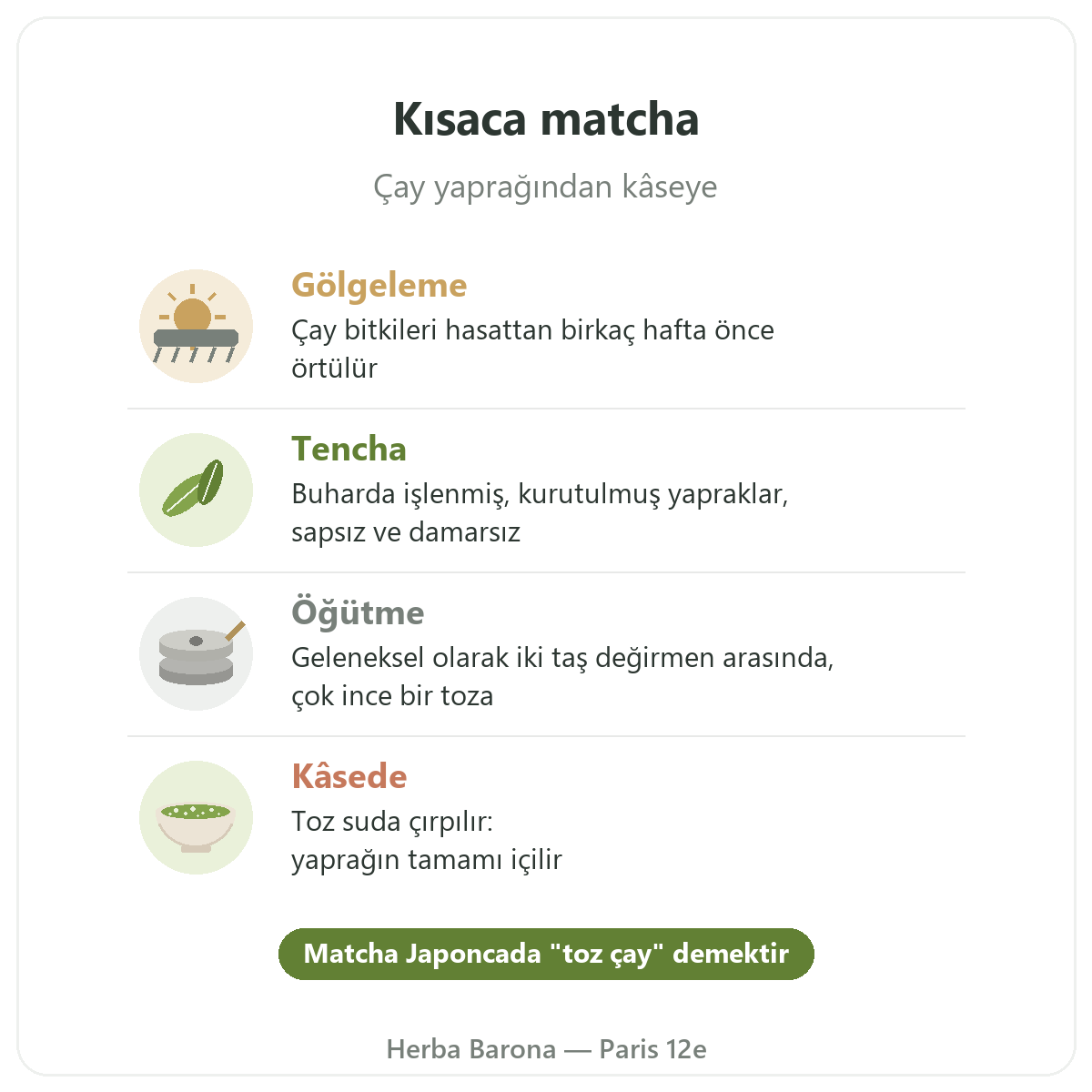 Paris'te matcha: yapraktan kâseye kısaca, Herba Barona Paris 12. bölge