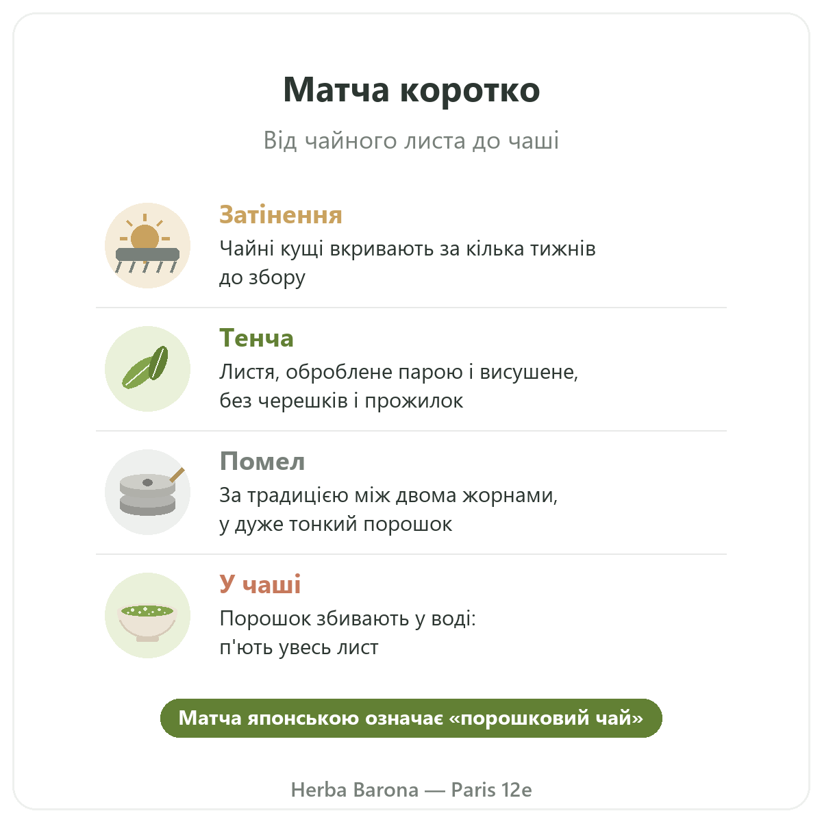 Матча в Парижі: від листа до чаші коротко, Herba Barona Париж 12e