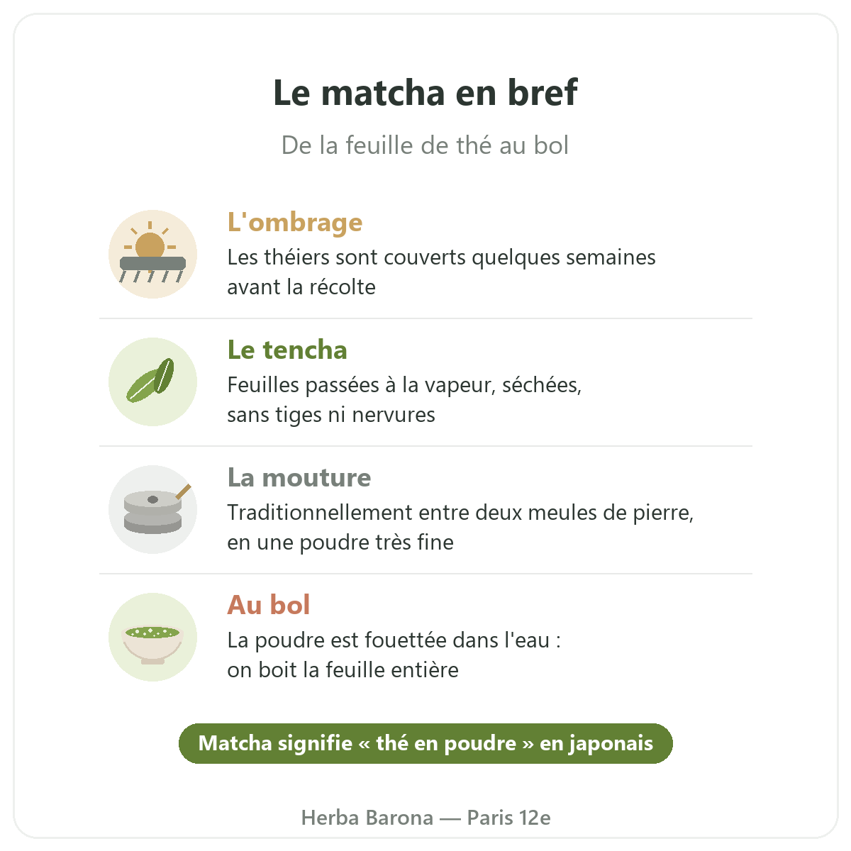 Matcha à Paris : de la feuille au bol en bref, Herba Barona Paris 12e