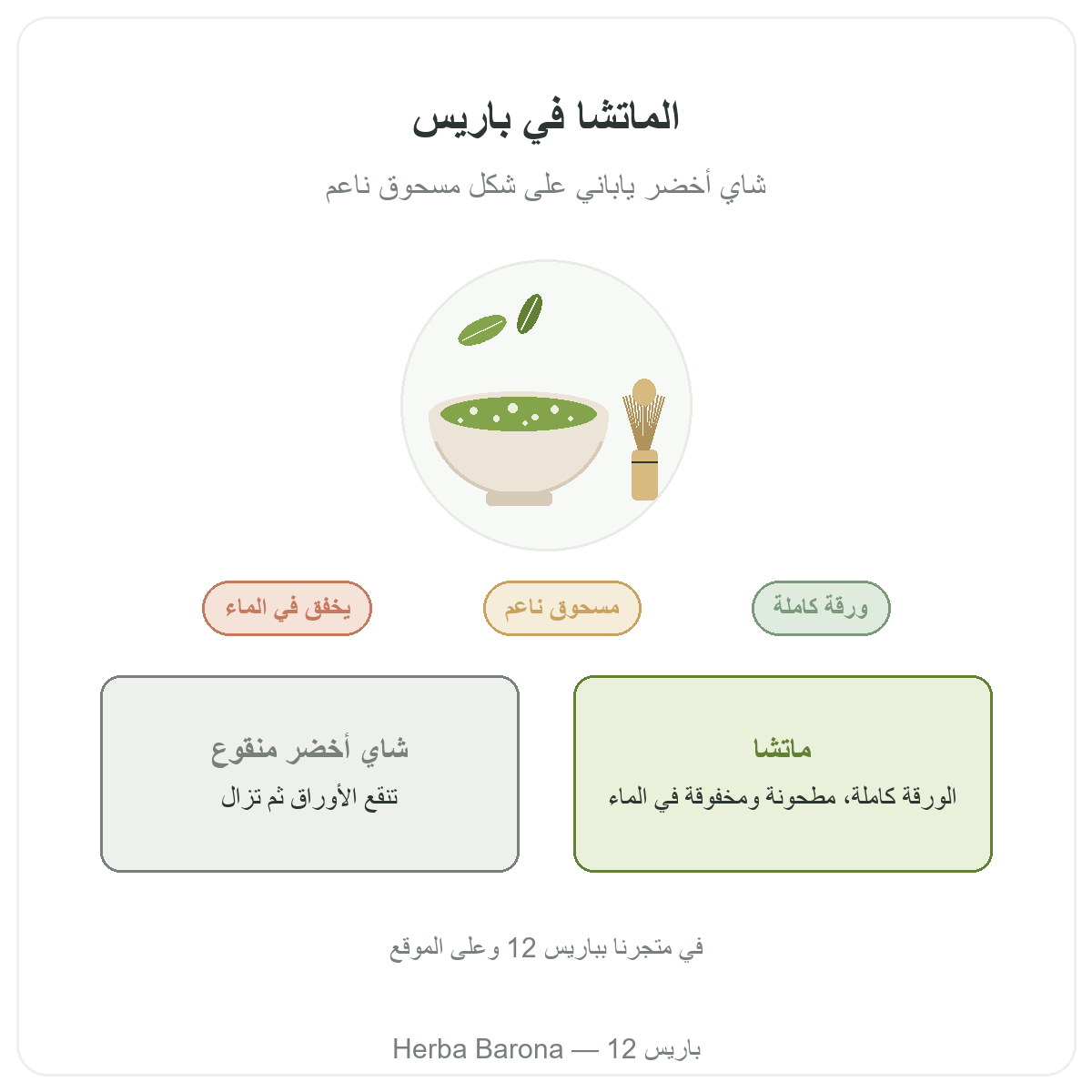 الماتشا في باريس: تعريف، Herba Barona باريس 12