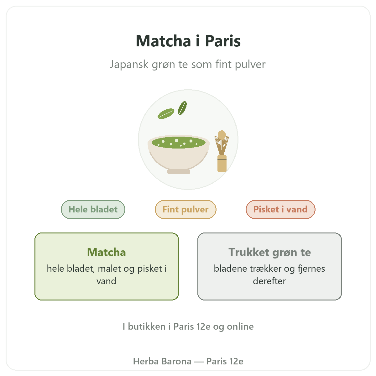 Matcha i Paris: præsentation hos Herba Barona Paris 12e