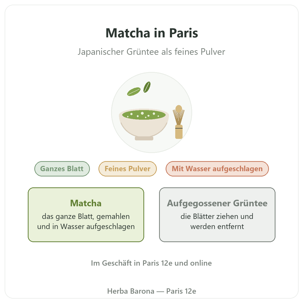 Matcha in Paris: Überblick bei Herba Barona Paris 12e