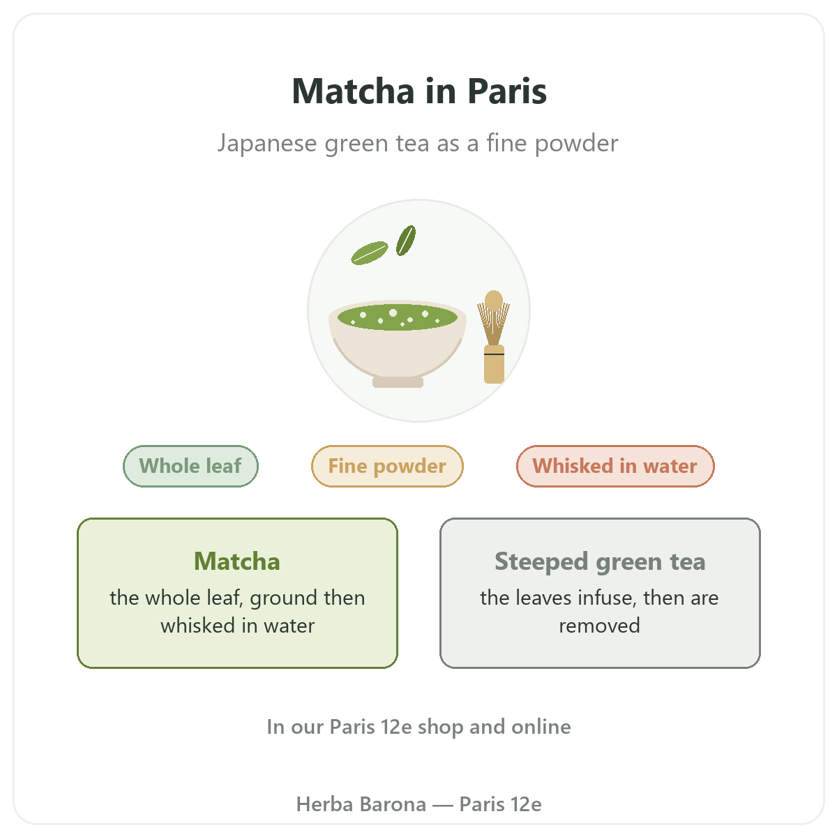 Matcha in Paris: overview at Herba Barona Paris 12e