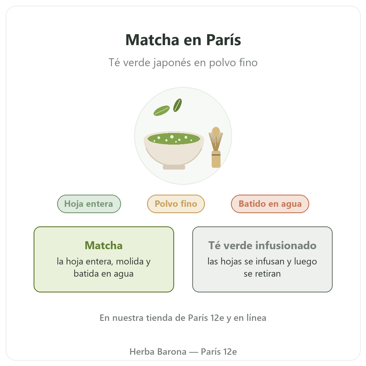 Matcha en París: presentación en Herba Barona París 12e