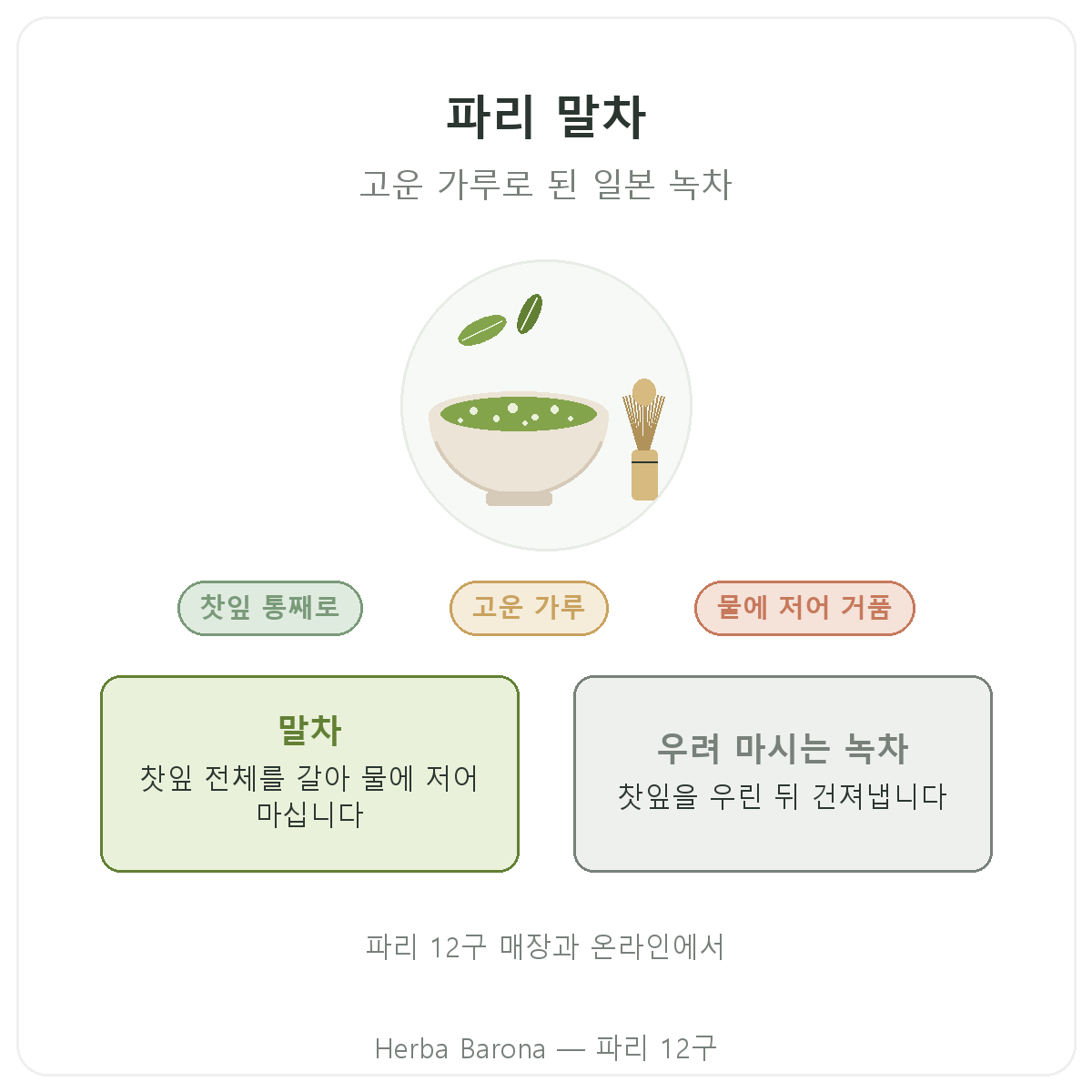 파리 말차: Herba Barona 파리 12구 소개