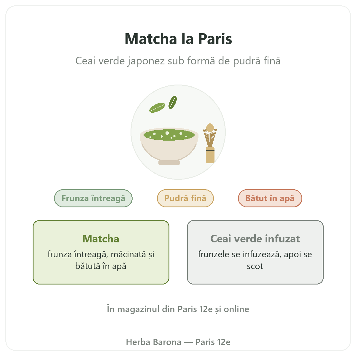 Matcha la Paris: prezentare la Herba Barona Paris 12e