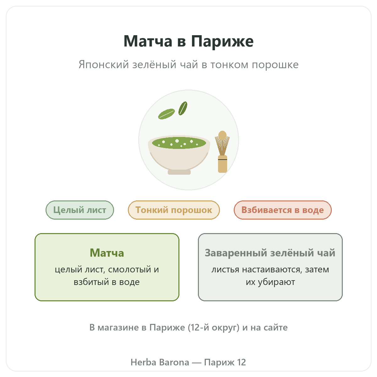 Матча в Париже: обзор, Herba Barona Париж 12e