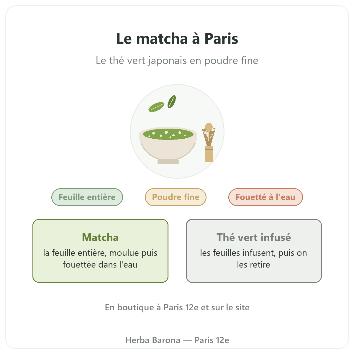 Matcha à Paris : présentation, Herba Barona Paris 12e