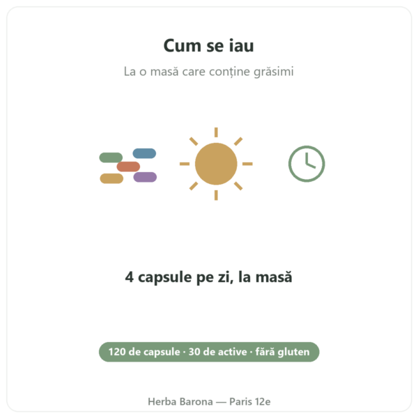 Multivitamine și Minerale Greenwhey 120 de capsule mod de utilizare Paris Herba Barona