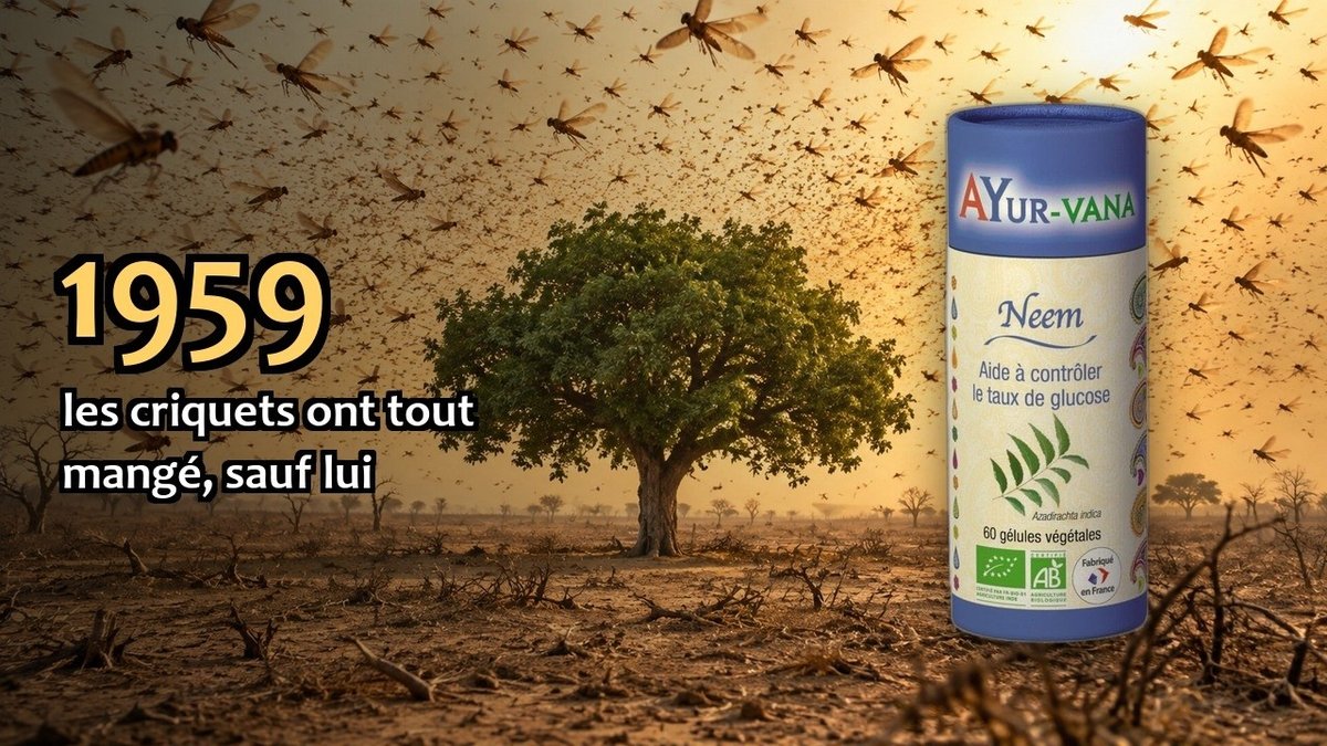 Vidéo Neem Ayur-vana Paris Herba Barona