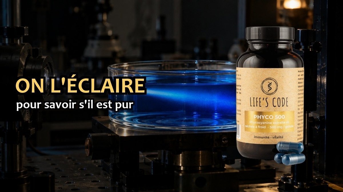 Vidéo Phyco-500 Life's Code Paris Herba Barona