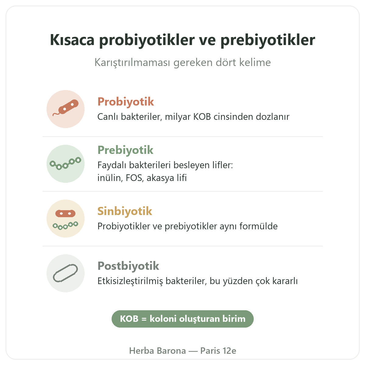 Paris'te probiyotikler ve prebiyotikler: probiyotik, prebiyotik, sinbiyotik kısaca, Herba Barona Paris 12. bölge