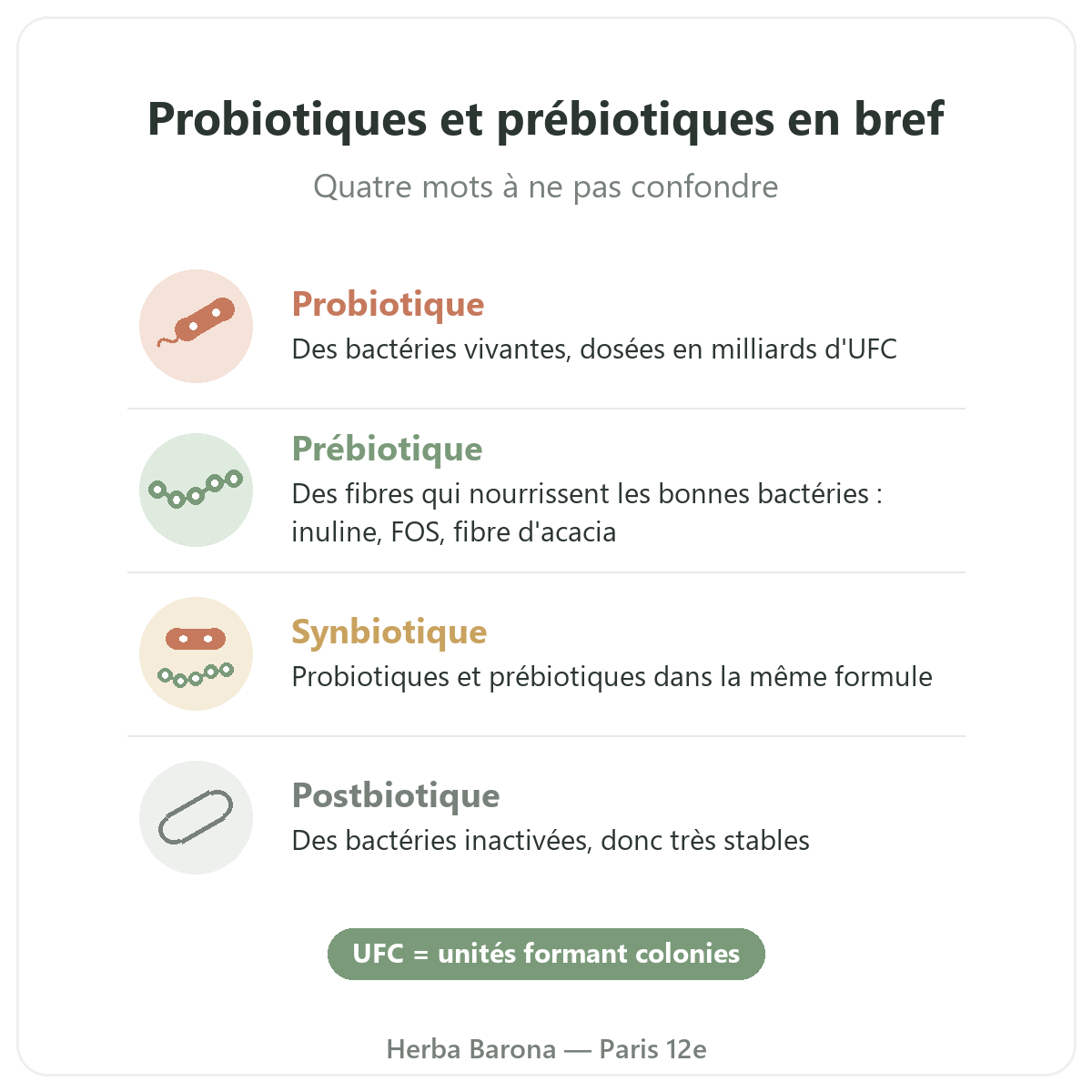 Probiotiques et prébiotiques à Paris : probiotique, prébiotique, synbiotique en bref, Herba Barona Paris 12e