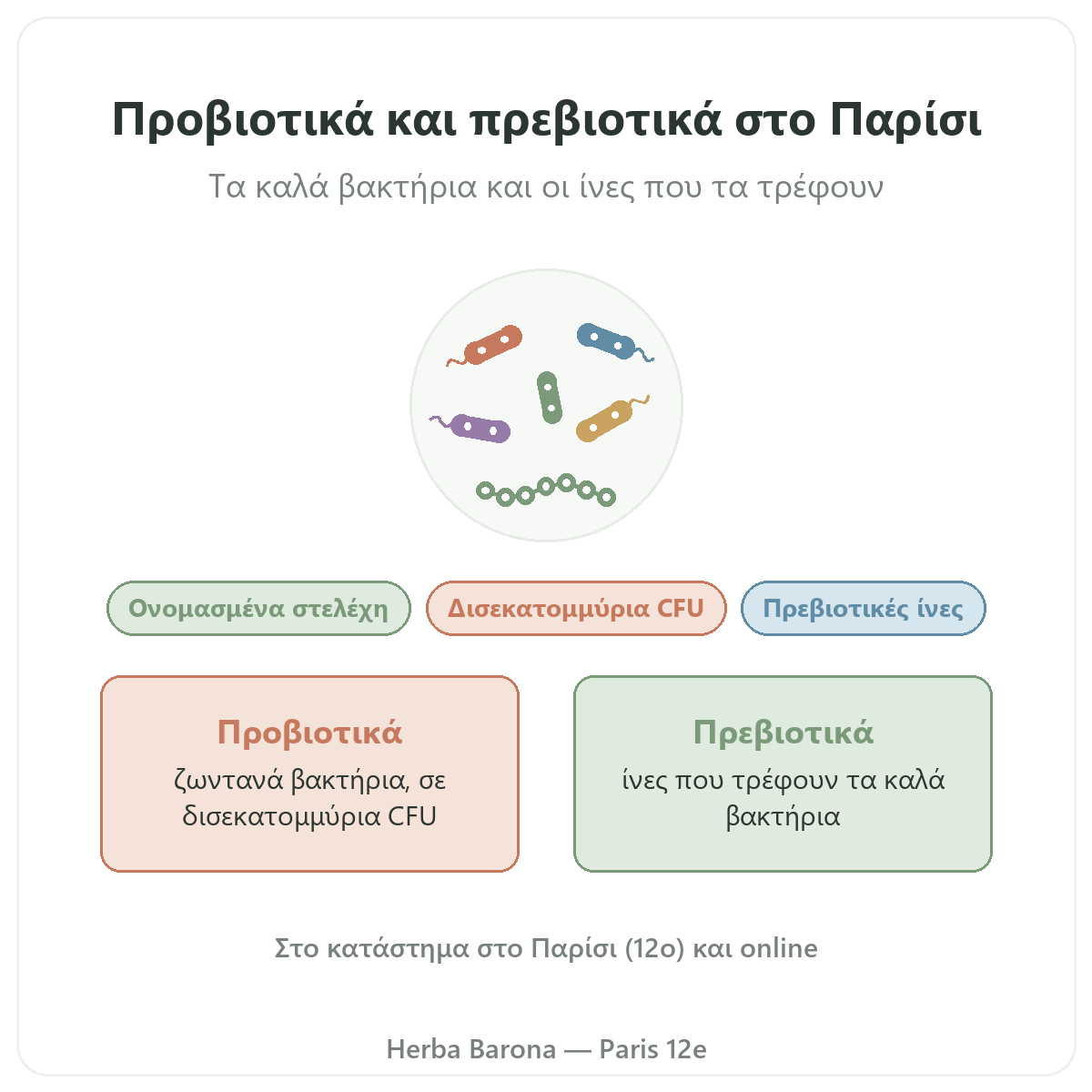 Προβιοτικά και πρεβιοτικά στο Παρίσι: παρουσίαση στη Herba Barona, 12ο διαμέρισμα του Παρισιού