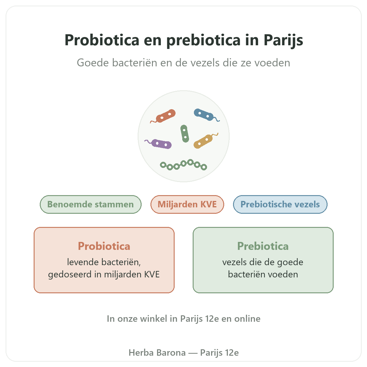 Probiotica en prebiotica in Parijs: presentatie bij Herba Barona Parijs 12e