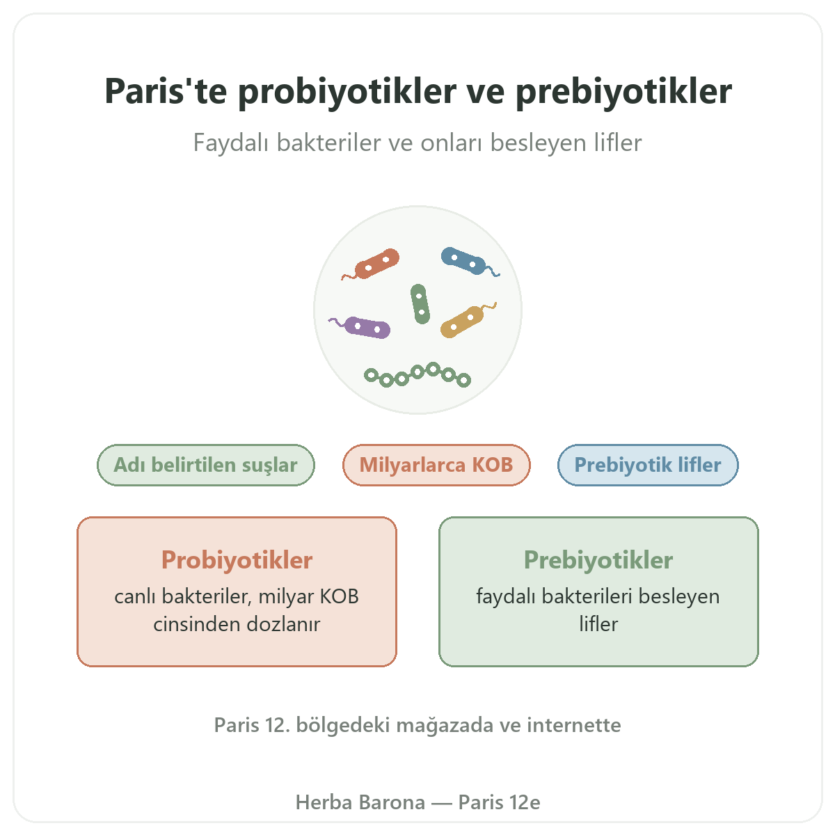 Paris'te probiyotikler ve prebiyotikler: Herba Barona Paris 12. bölgede tanıtım