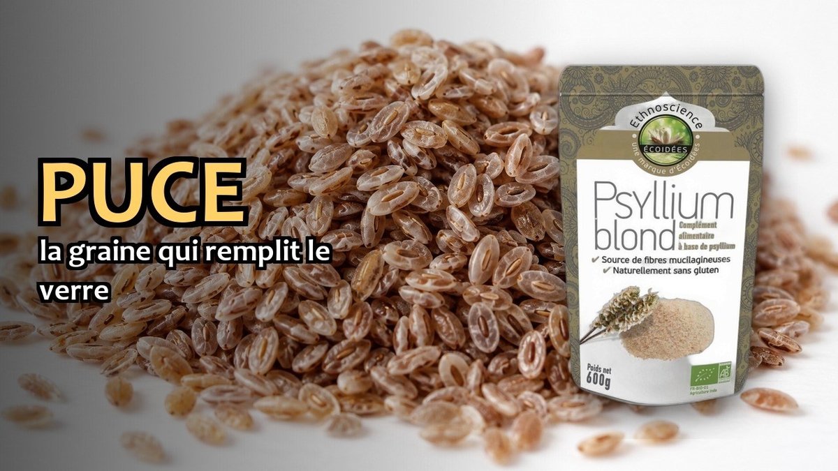 Vidéo Psyllium blond bio Ethnoscience Psyllium Blond Bio en Poudre Paris Herba Barona