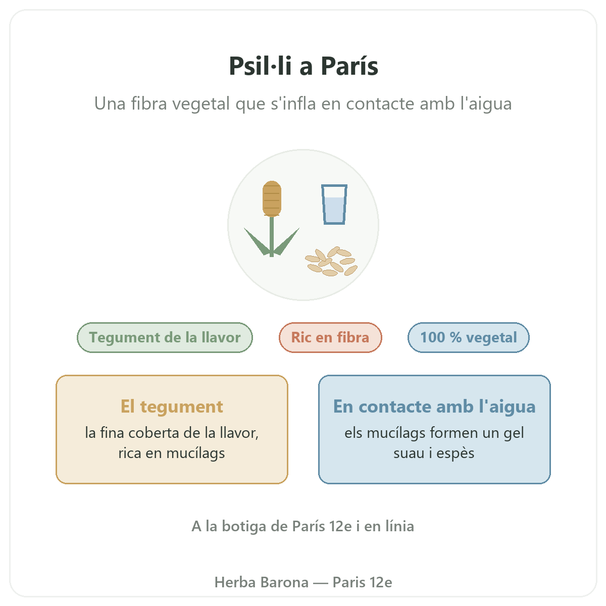 Psil·li a París: presentació a Herba Barona París 12e