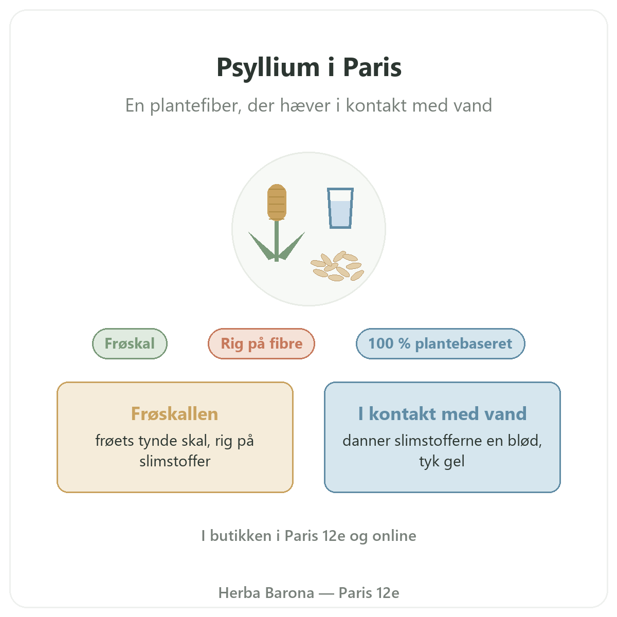 Psyllium i Paris: præsentation hos Herba Barona Paris 12e