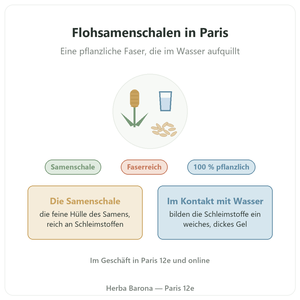 Flohsamenschalen in Paris: Überblick bei Herba Barona Paris 12e