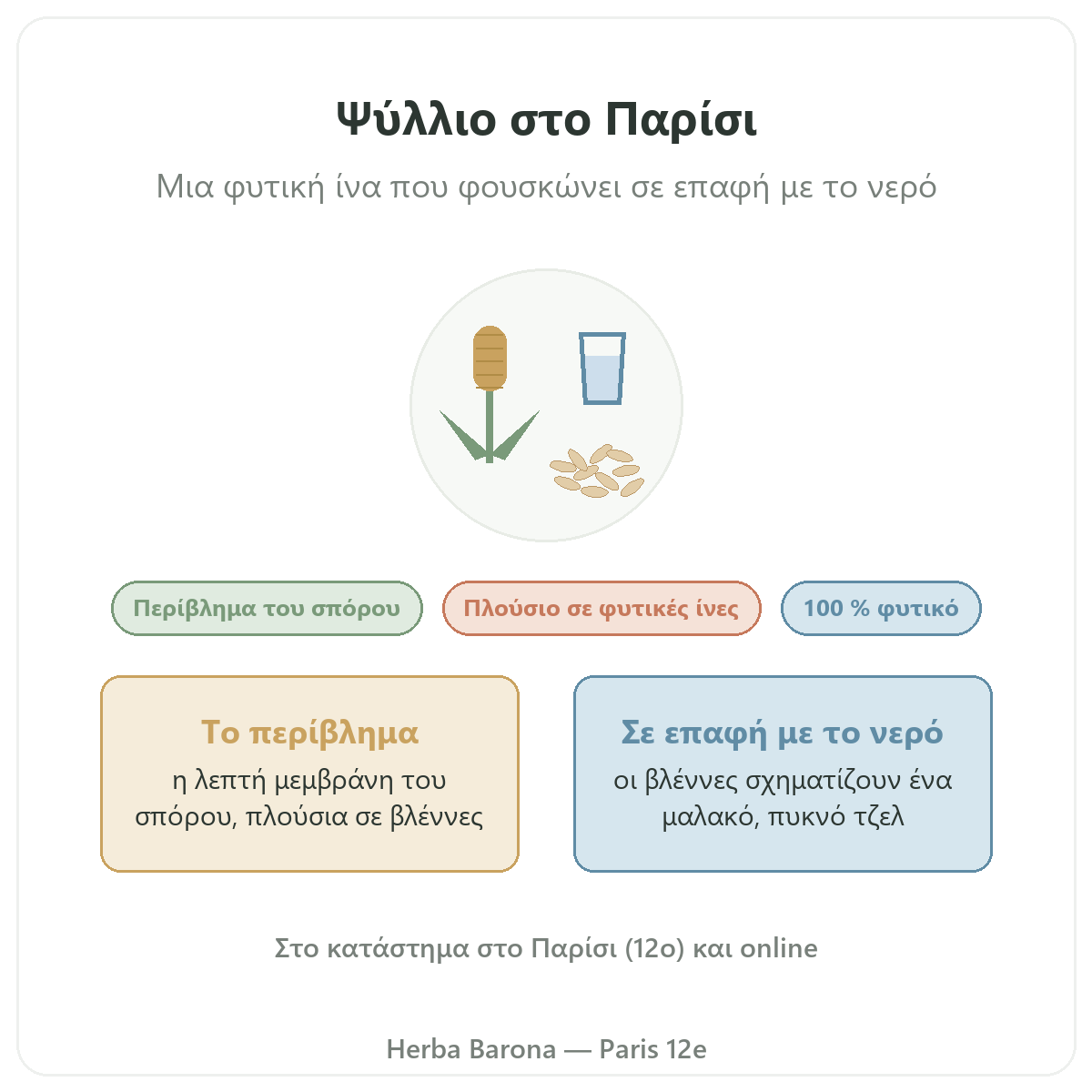 Ψύλλιο στο Παρίσι: παρουσίαση στη Herba Barona, 12ο διαμέρισμα του Παρισιού