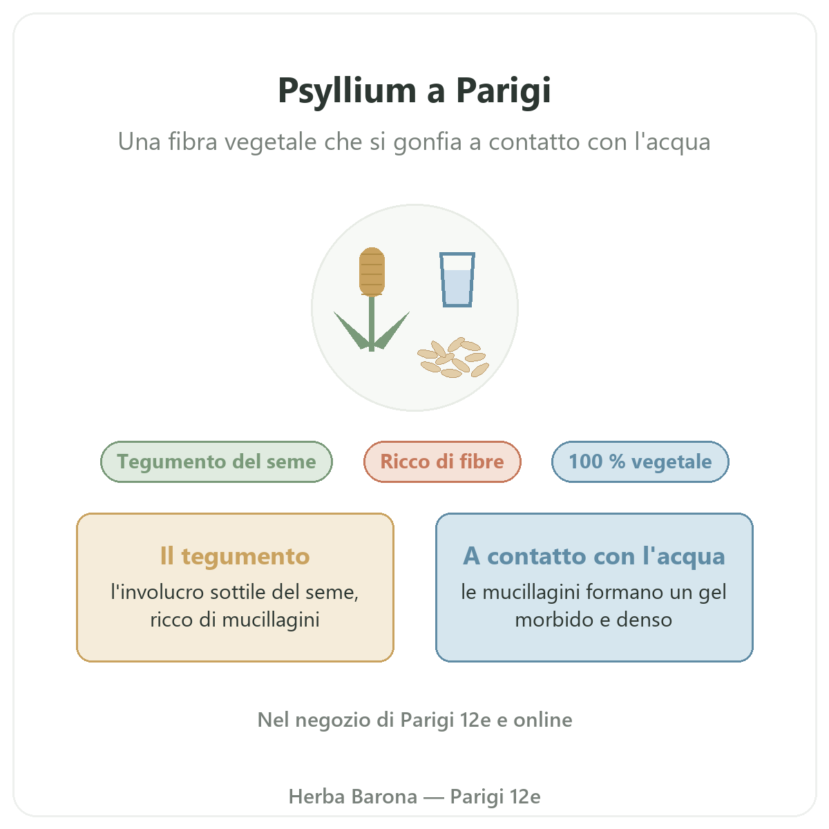 Psyllium a Parigi: presentazione da Herba Barona Parigi 12e