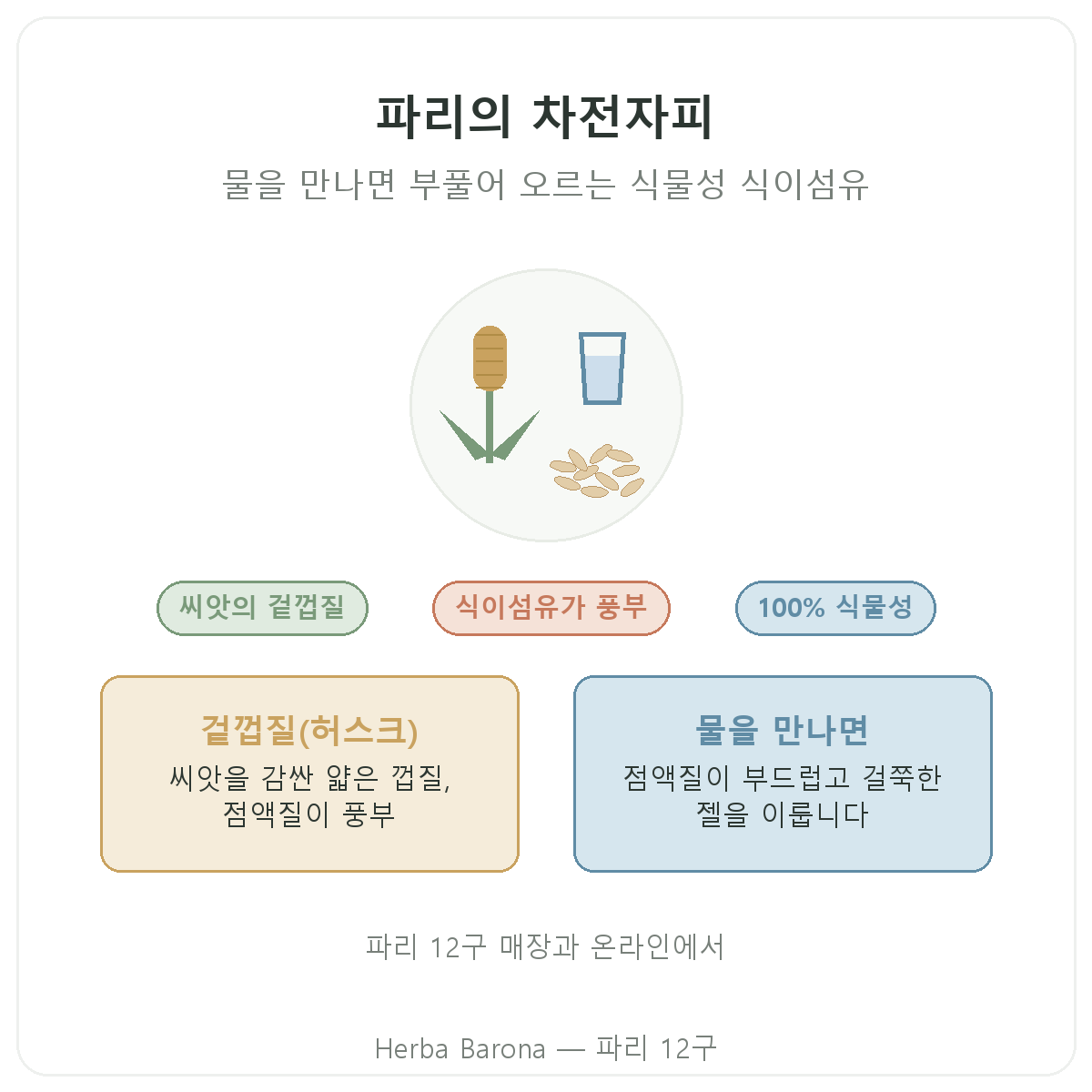 파리의 차전자피: Herba Barona 파리 12구 소개