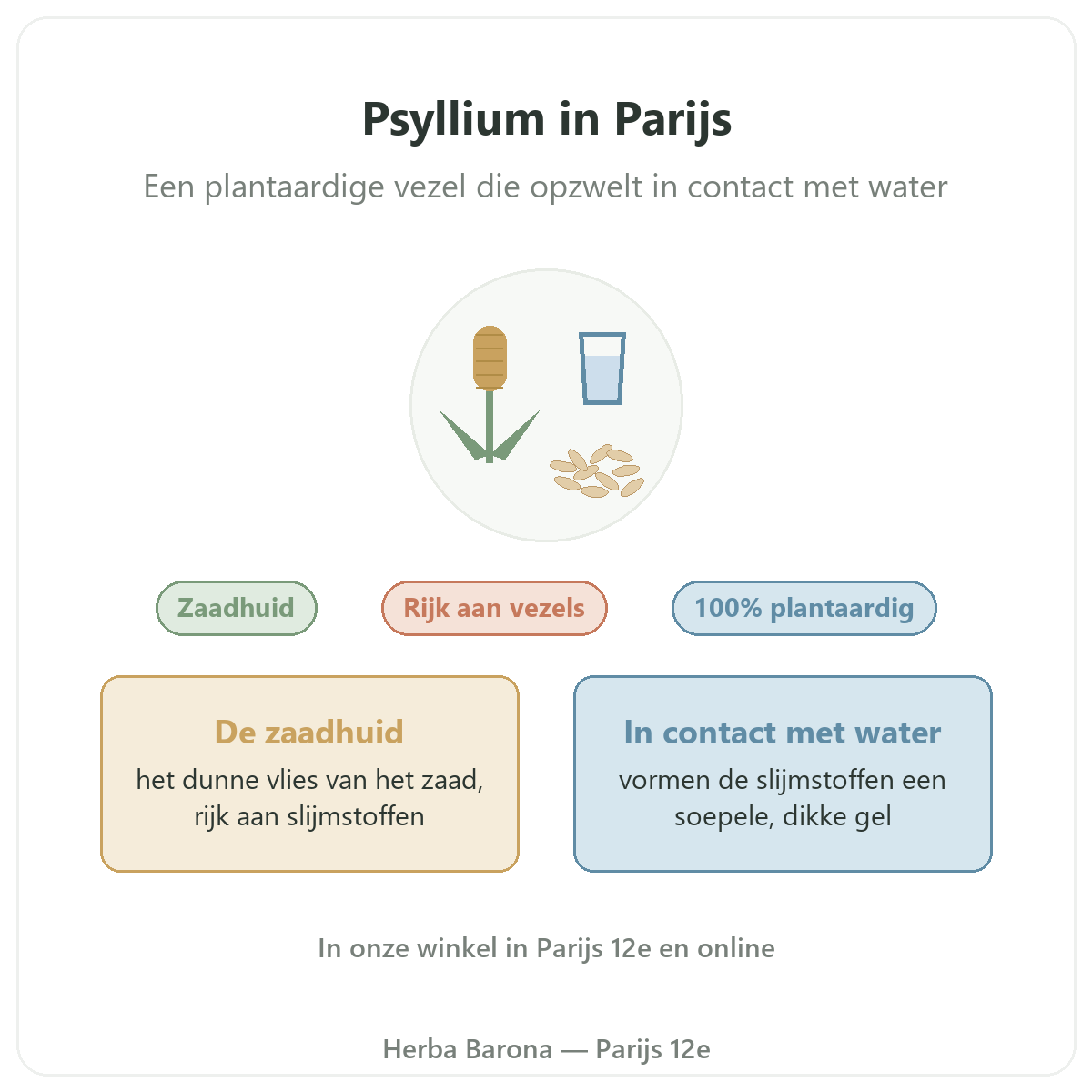 Psyllium in Parijs: presentatie bij Herba Barona Parijs 12e