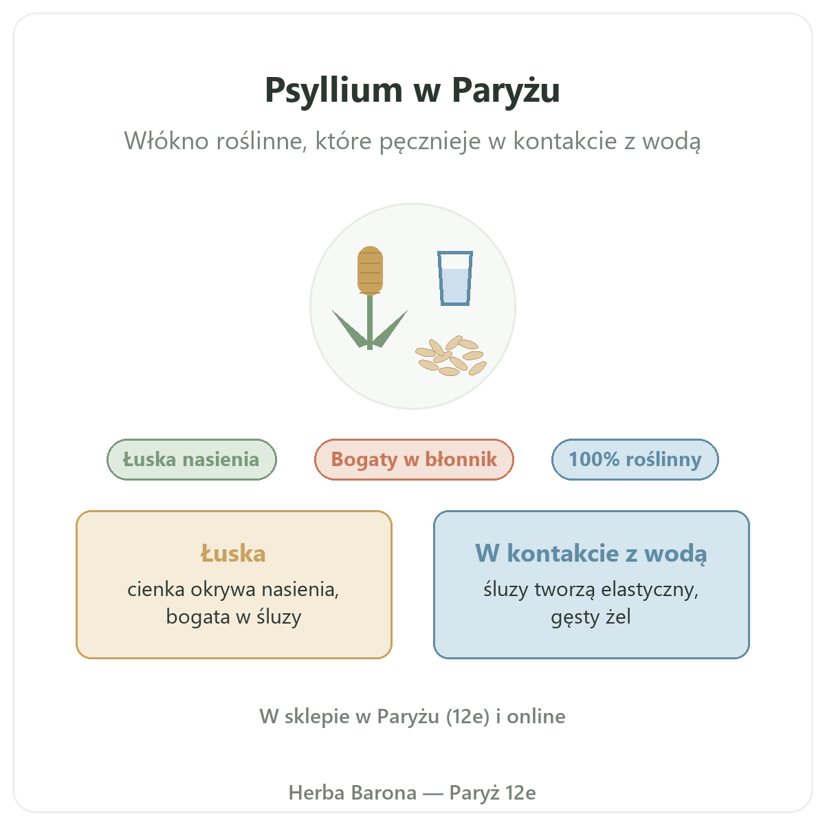 Psyllium w Paryżu: prezentacja w Herba Barona Paryż 12e