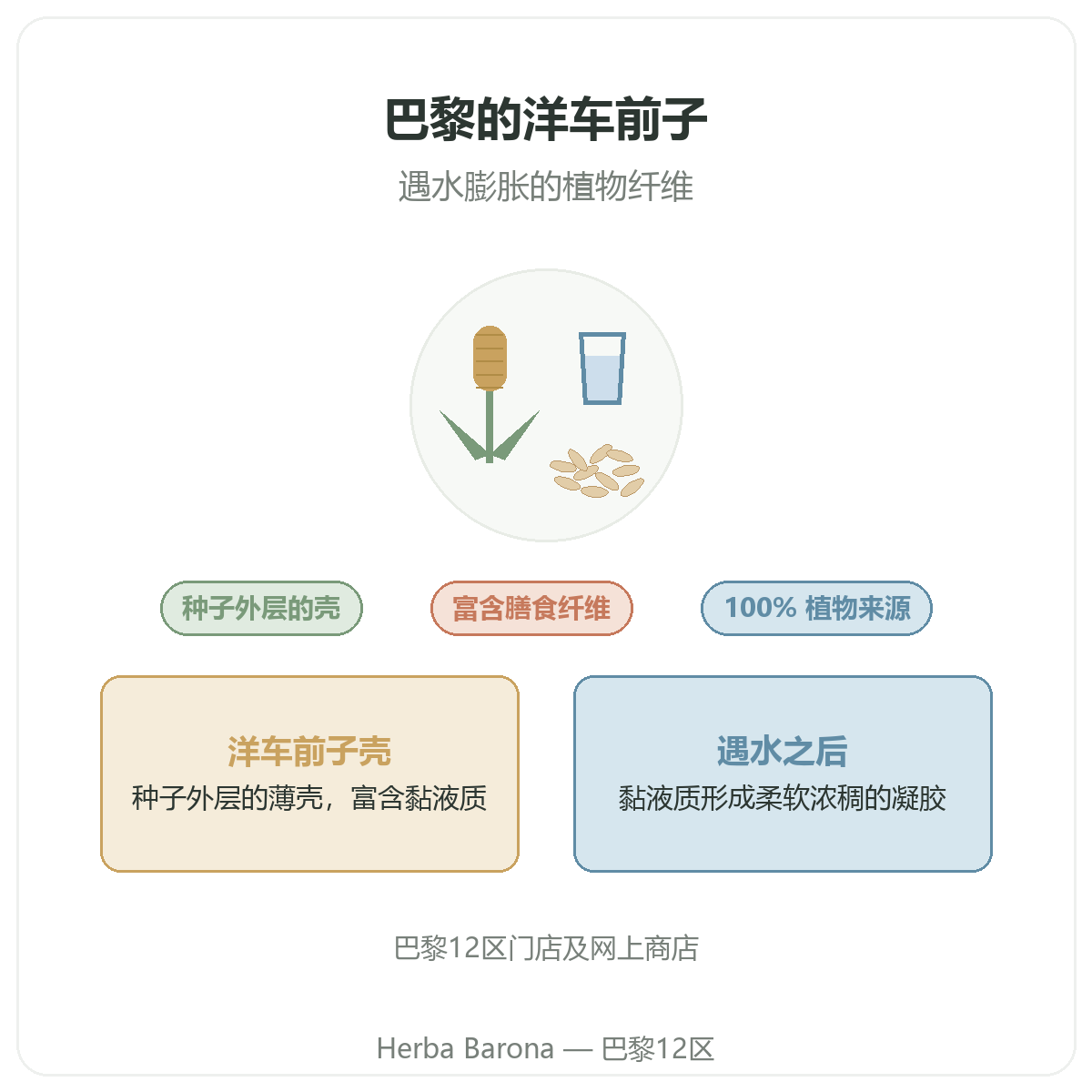 巴黎的洋车前子:Herba Barona巴黎12区门店介绍