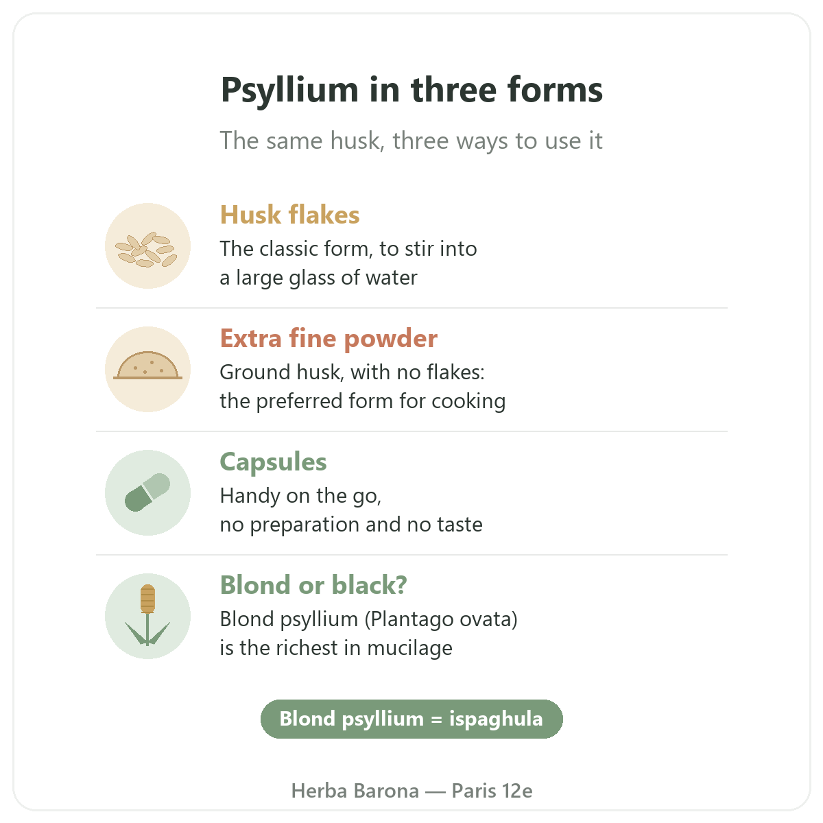 Psyllium in Paris: husk flakes, extra fine powder and capsules, Herba Barona Paris 12e