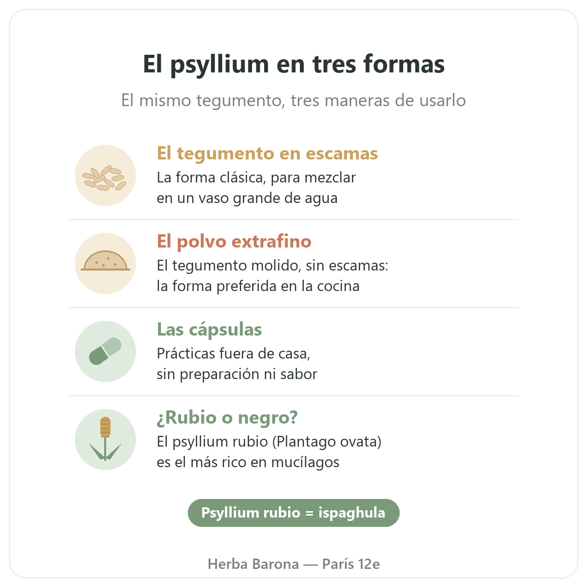 Psyllium en París: tegumento en escamas, polvo extrafino y cápsulas, Herba Barona París 12e