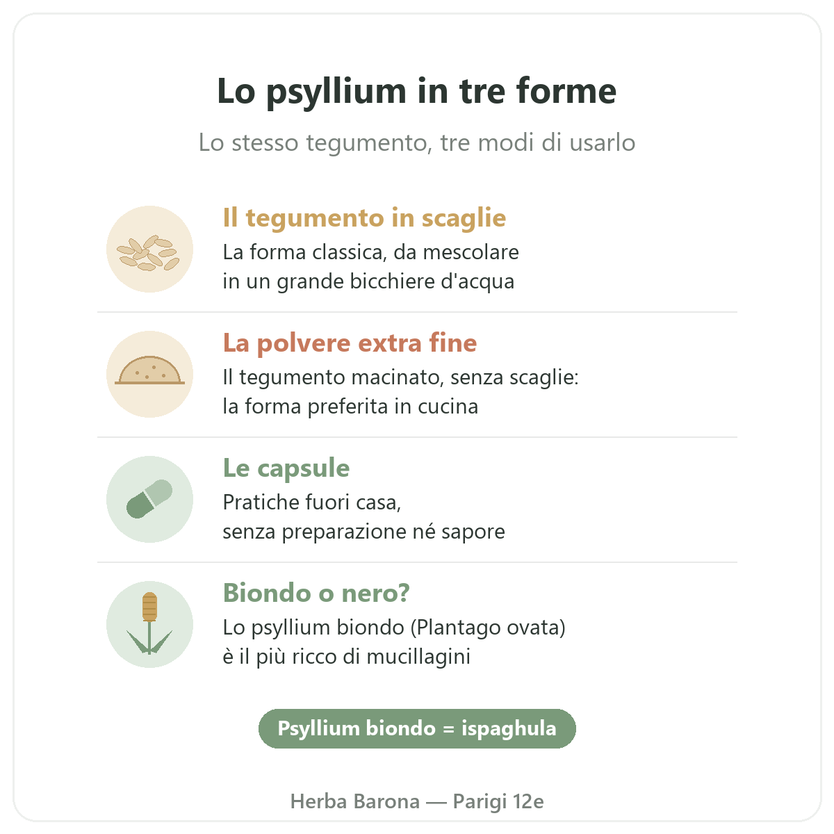 Psyllium a Parigi: tegumento in scaglie, polvere extra fine e capsule, Herba Barona Parigi 12e