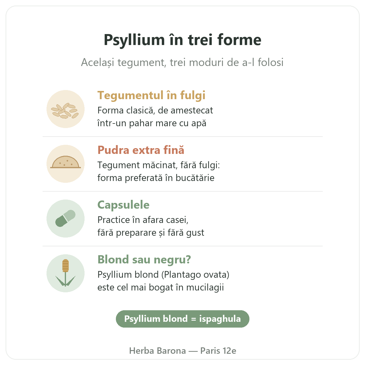 Psyllium la Paris: psyllium în trei forme, fulgi, pudră extra fină și capsule, Herba Barona Paris 12e