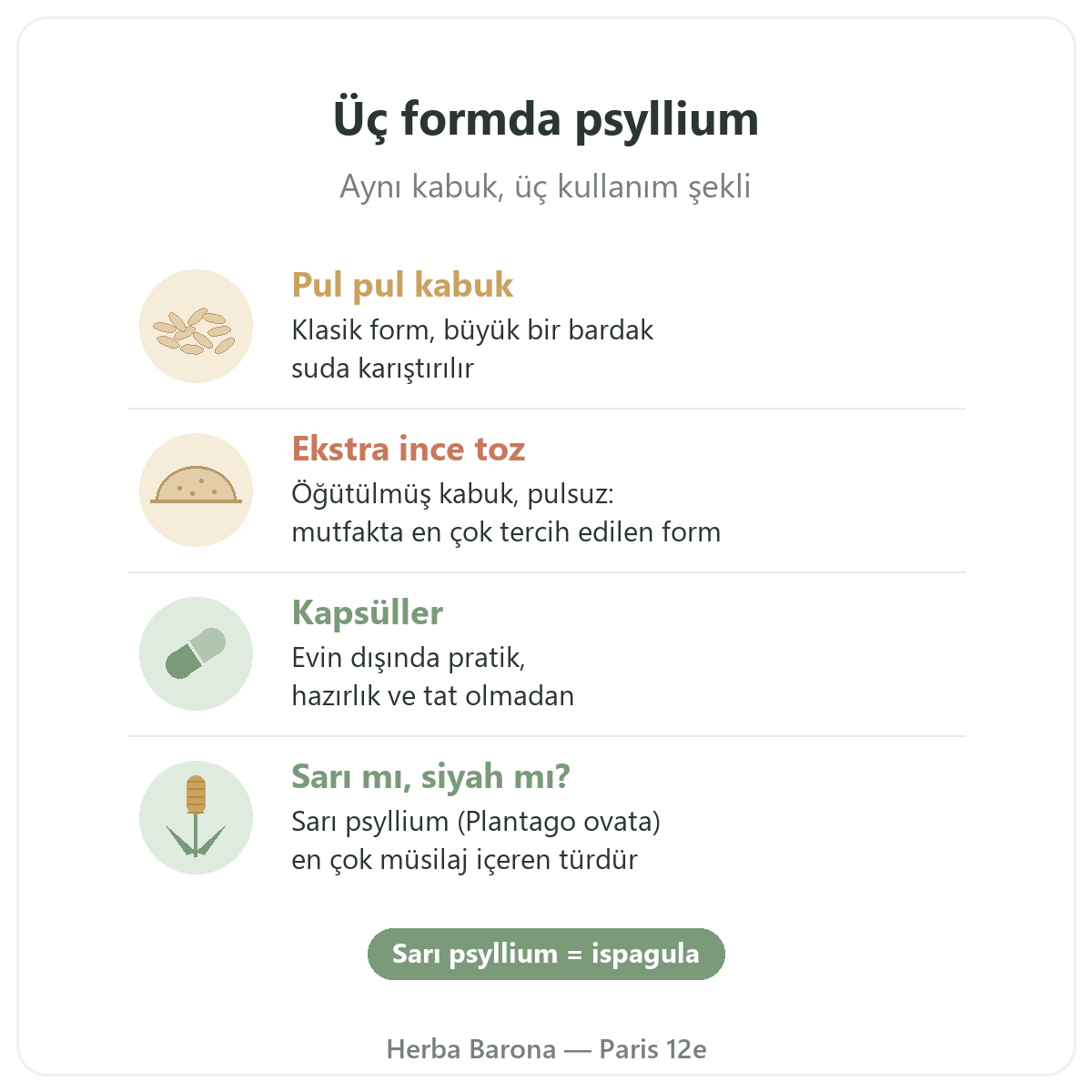 Paris'te psyllium: pul, toz ve kapsül olmak üzere üç form, Herba Barona Paris 12. bölge
