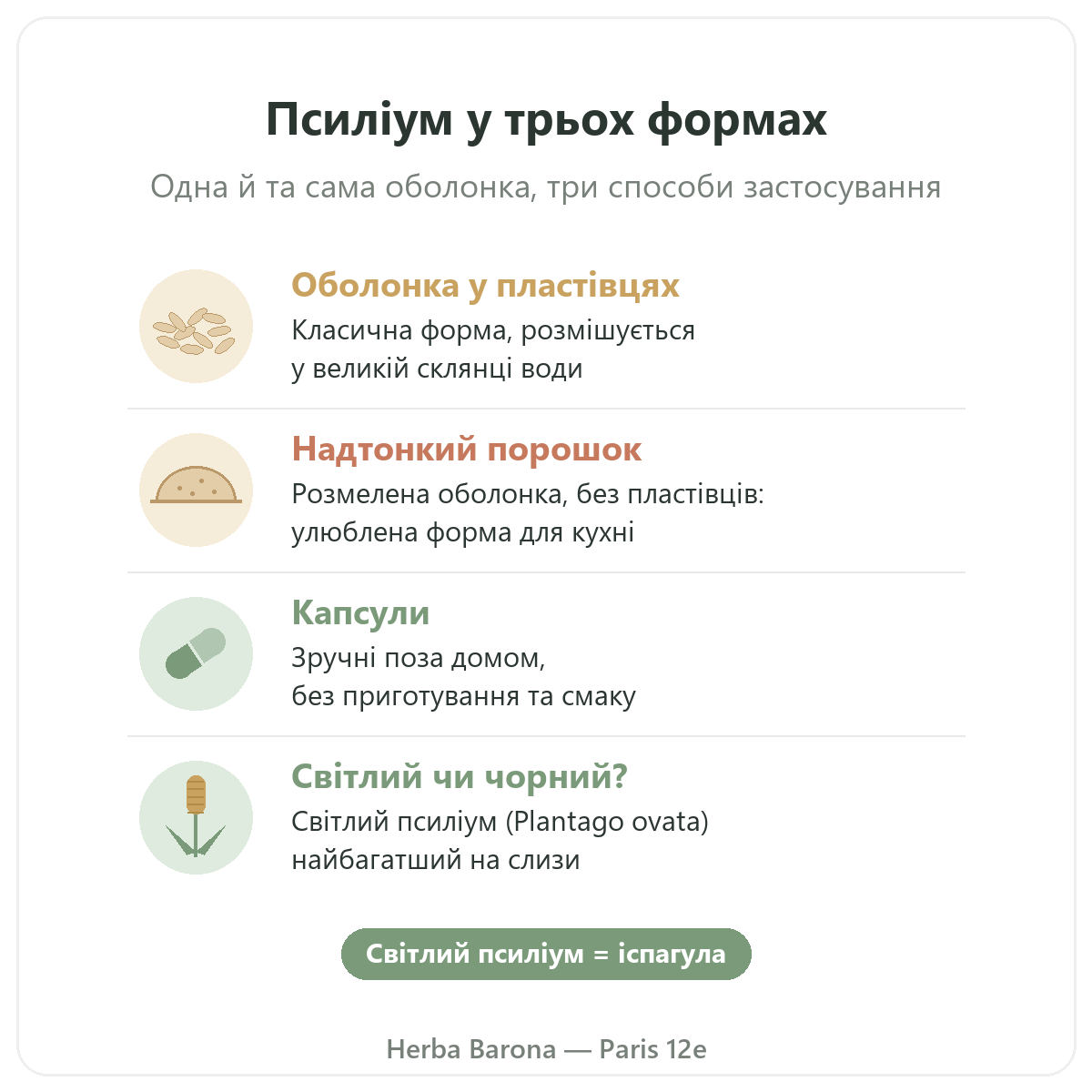 Псиліум у Парижі: три форми — пластівці, порошок і капсули, Herba Barona, 12-й округ Парижа