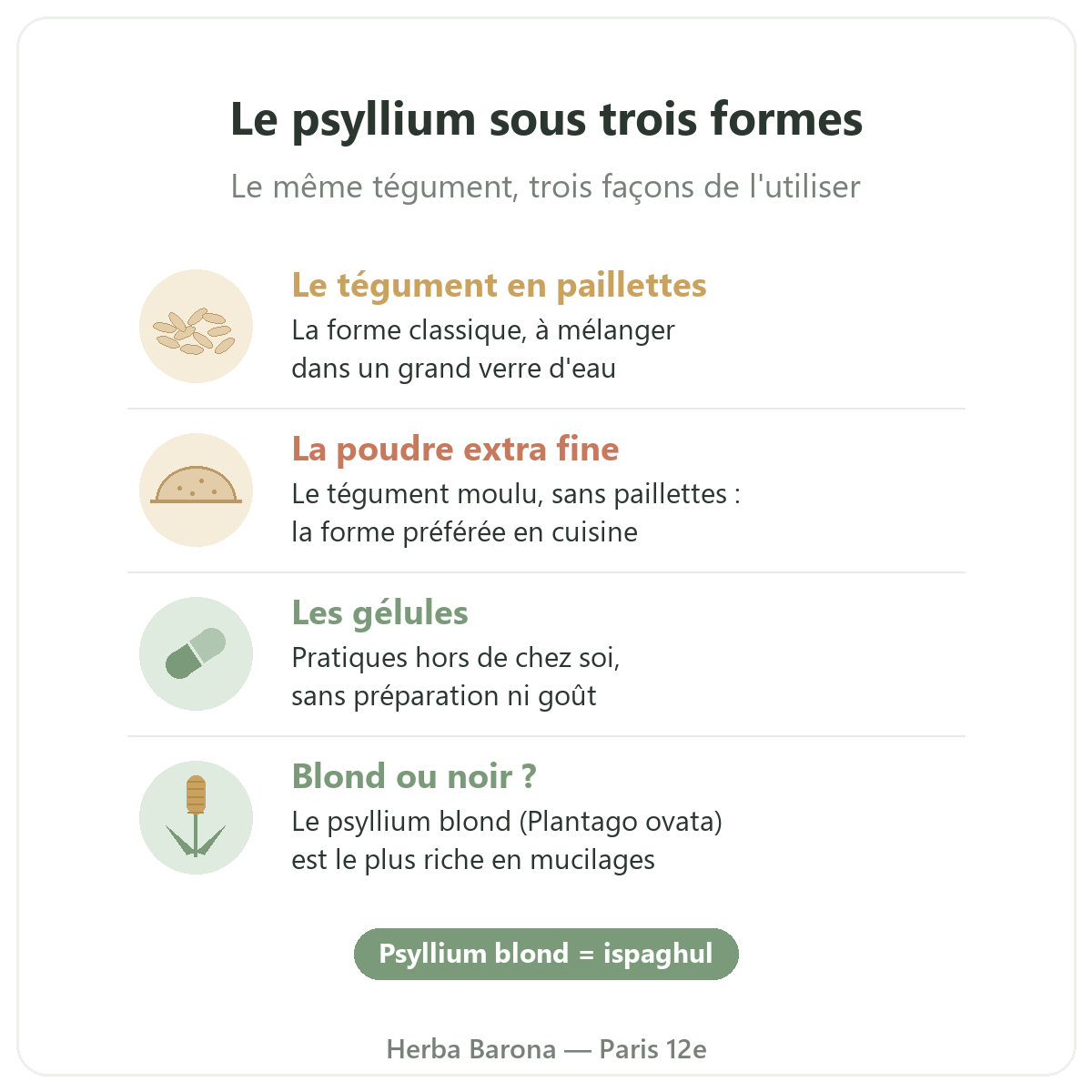 Psyllium à Paris : paillettes, poudre extra fine ou gélules, Herba Barona Paris 12e