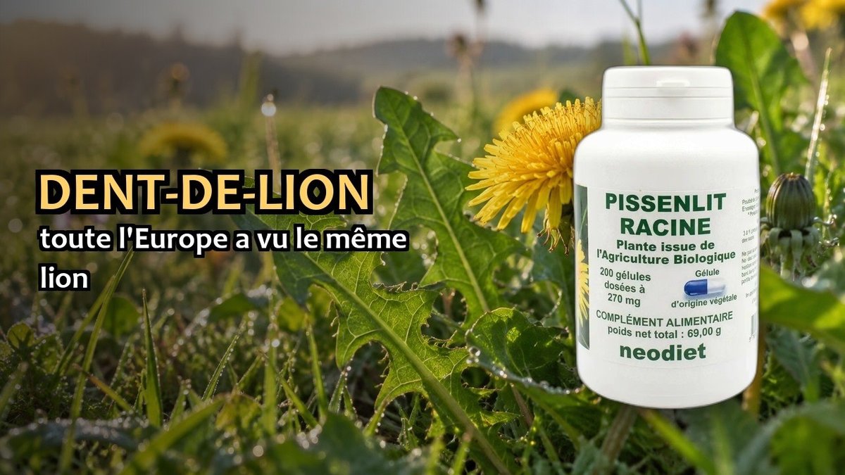 Vidéo Racine de pissenlit bio 200 gélules Vital Osmose Paris Herba Barona
