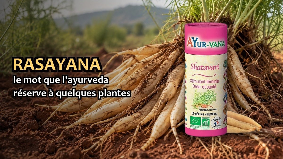 Vidéo Shatavari 120 gélules Ayur-vana Shatavari Bio Paris Herba Barona