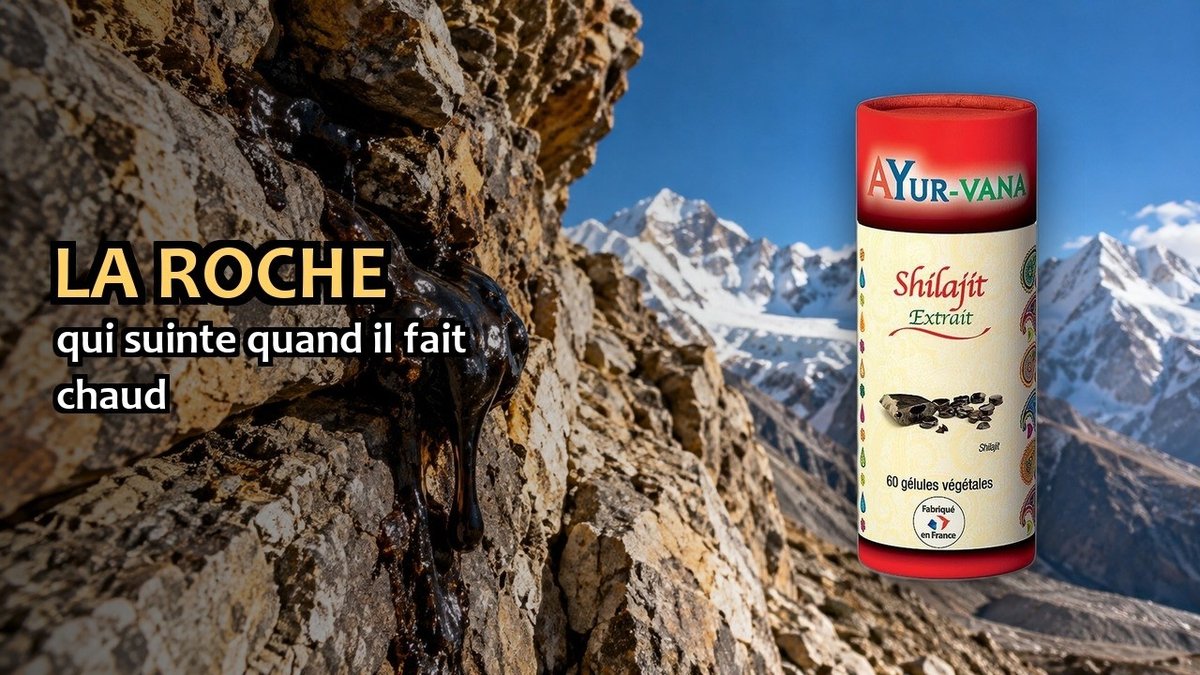 Vidéo Shilajit Ayur-vana Shilajit en gélules Paris Herba Barona